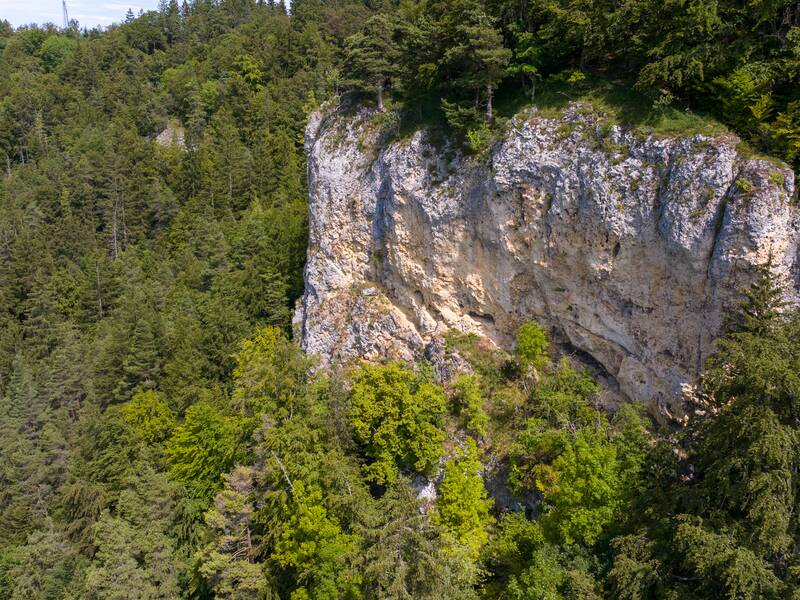 Felsen von Außen mit Bäumen