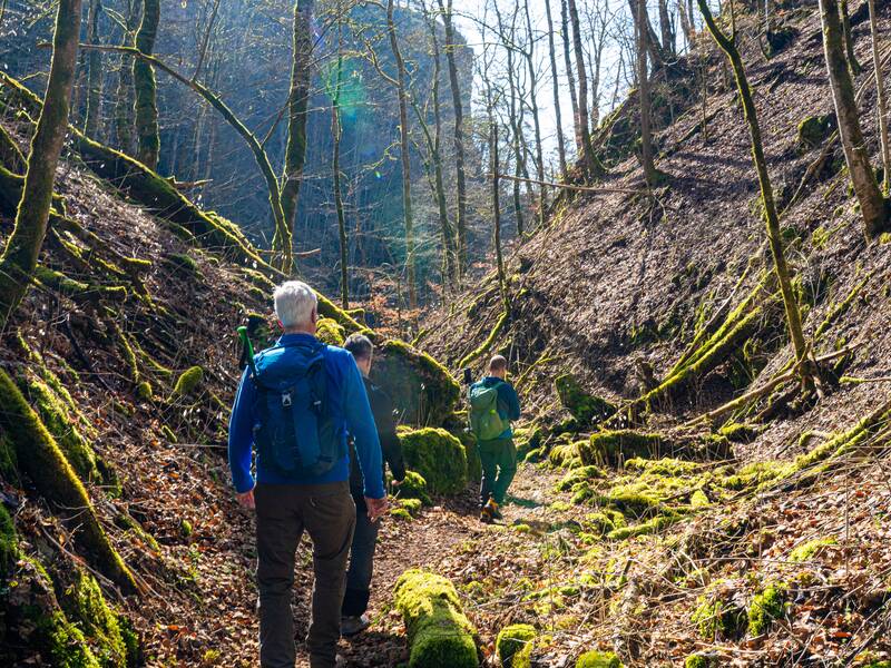 Wanderer im Hintelestal